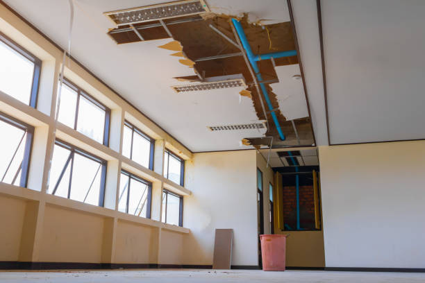 Best Ceiling water damage repair  in Payson, UT