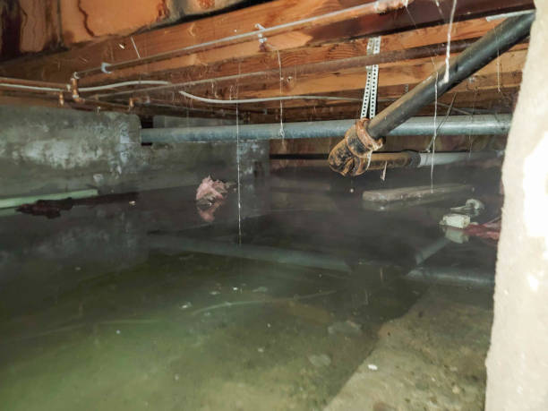 Reliable Payson, UT Water damage restoration Solutions