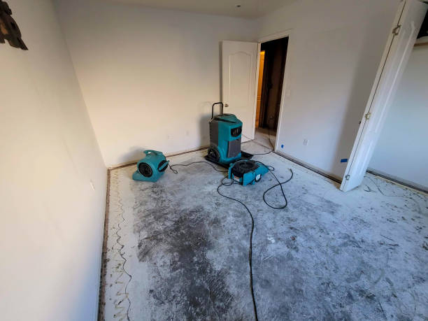 Best Water damage restoration near me  in Payson, UT
