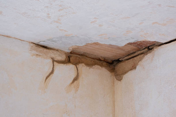 Best Water damage restoration specialists  in Payson, UT