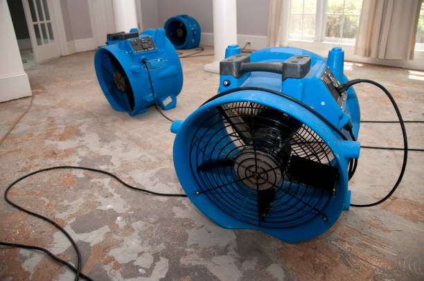 Best Water damage contractors near me  in Payson, UT