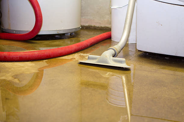 Carpet water damage restoration in Payson, UT