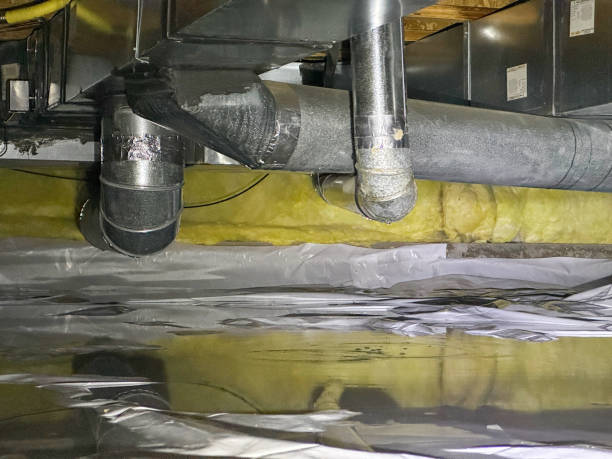 Best Carpet water damage restoration  in Payson, UT