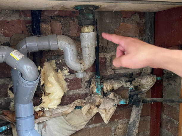 Best Mold removal after water damage  in Payson, UT