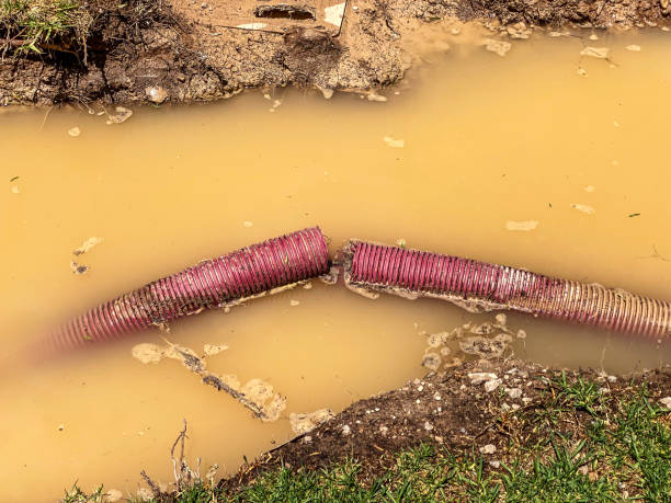 Best Water damage contractors near me  in Payson, UT