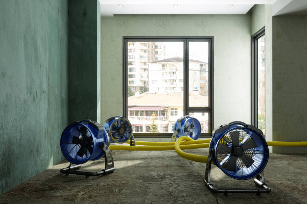 Best Basement water damage restoration  in Payson, UT