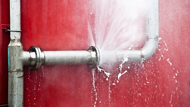 Best Water damage contractors near me  in Payson, UT