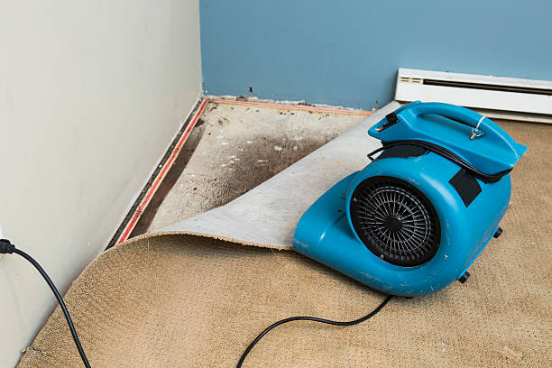 Best 24-hour water damage restoration  in Payson, UT